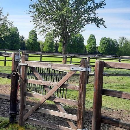 Vakantieboerderij Aardenhof Севенум Екстер'єр фото